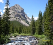 2016 07 11 Montana Scenery 035